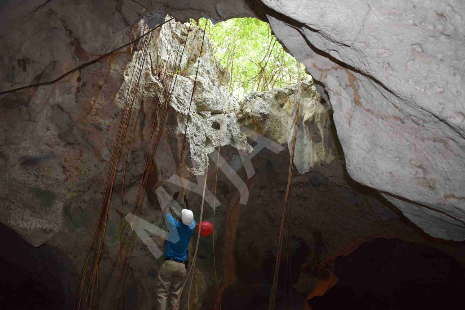 Green Grotto Caves Ocho Rios