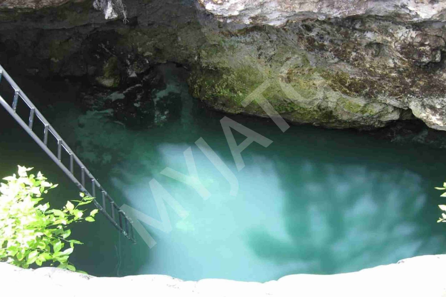 Blue Hole Mineral Spring Tour