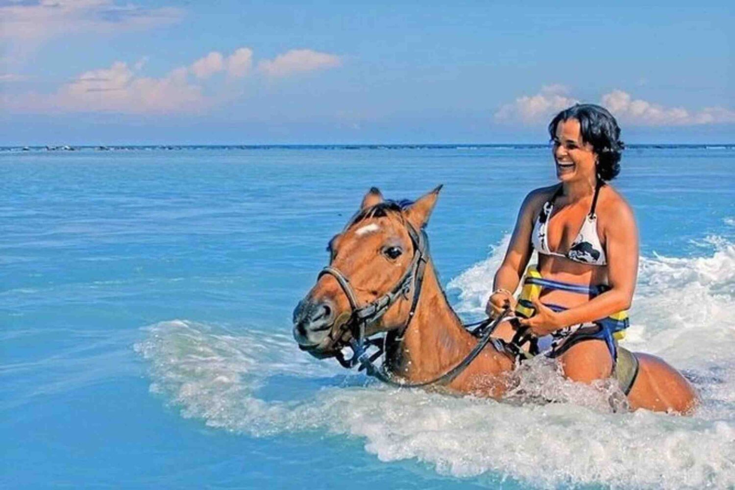 Horse Riding In Jamaica Negril Ocho Rios Montego Bay