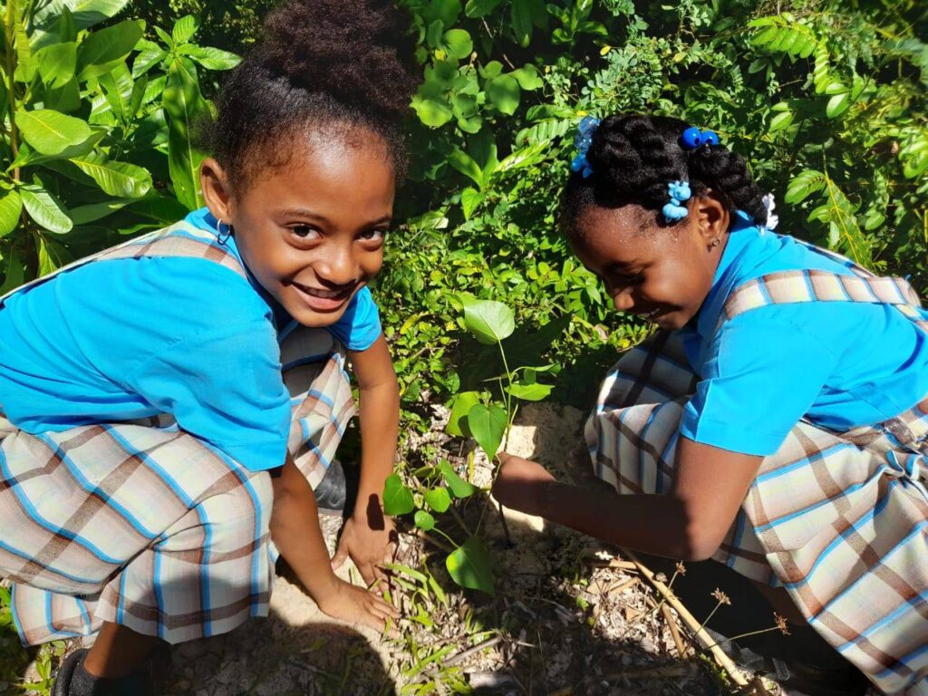 Jamaican Food Security should be taught in all schools